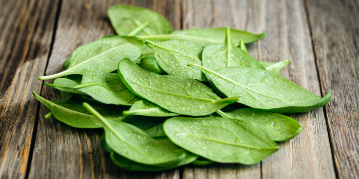 Ilustrasi daun-daun yang memiliki khasiat untuk kesehatan mata (pch.freepik)