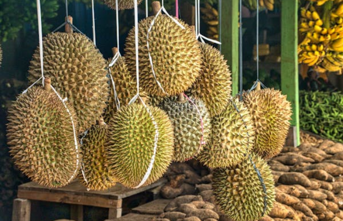 Dampak berbahaya mengomsumsi buah Durian terlalu banyak bagi tubuh (Pexels.com/Tom Fisk)
