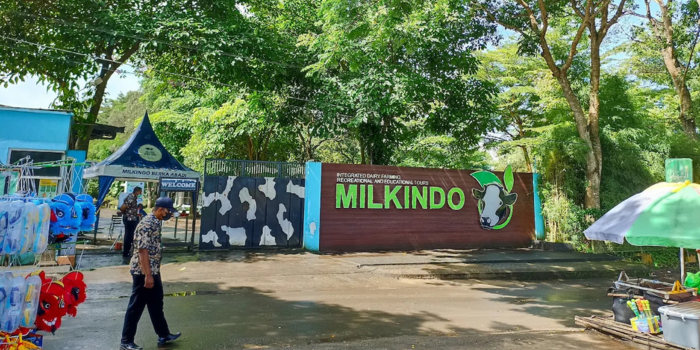 Milkindo Green Farm Kepanjen (Anugerah Tri).