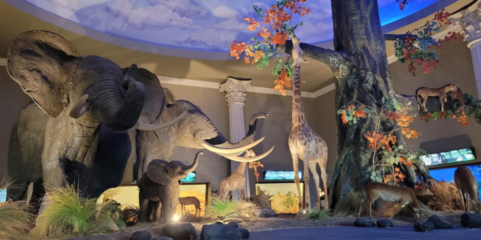 Jawa Timur Park 2 (RISWANDA NDARU).