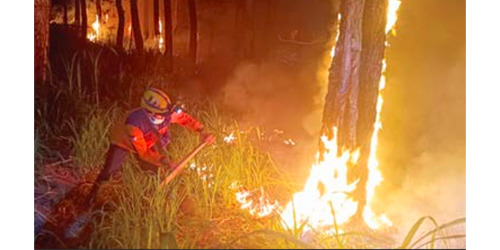 UPAYA PEMADAMAN: Salah seorang petugas sedang berupaya memadamkan api pada peristiwa kebakaran yang terjadi di kawasan hutan lindung Gunung Panderman pada November 2024 lalu.
