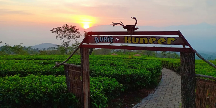 Bukit Kuneer (Supriadi).