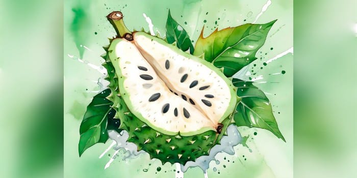 Ilustrasi Buah Sirsak (sumber foto: freepik)