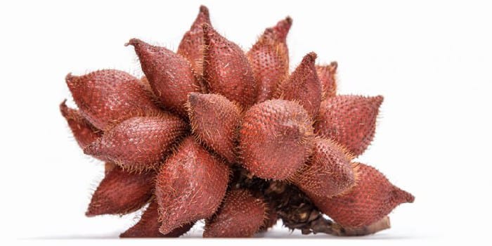 Buah Salak (sumber foto: freepik)