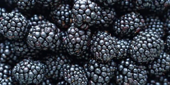 Buah Blackberry (sumber foto: freepik)