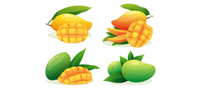 Ilustrasi beberapa macam buah mangga. (freepik)