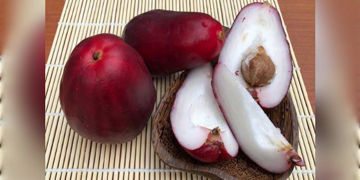Buah Jambu Bol (sumber foto: alodokter)