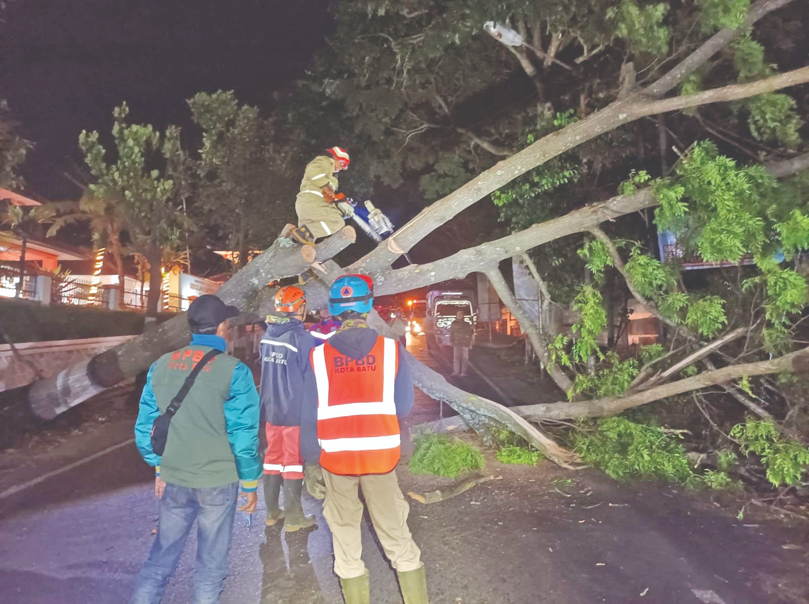 EVAKUASI: BPBD dan jajaran petugas mengevakuasi pohon tumbang di Jalan Trunojoyo pada dini hari kemarin (13/7).
