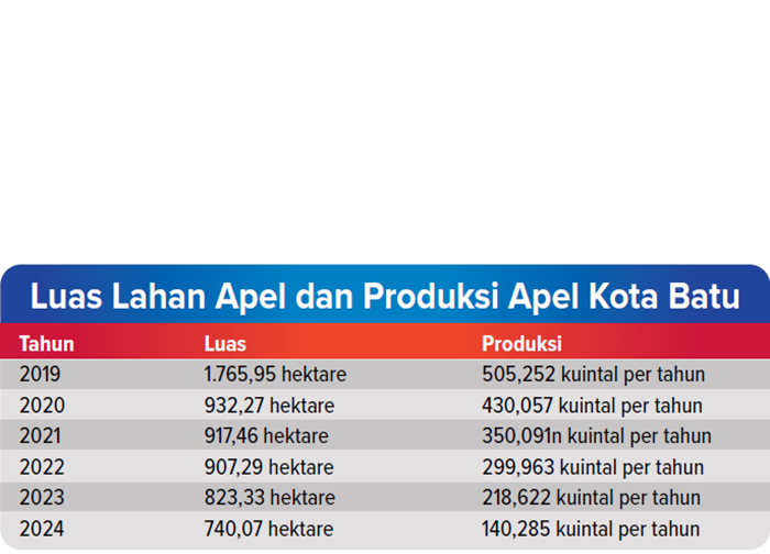 Luas Lahan Apel dan Produksi Apel Kota Batu.