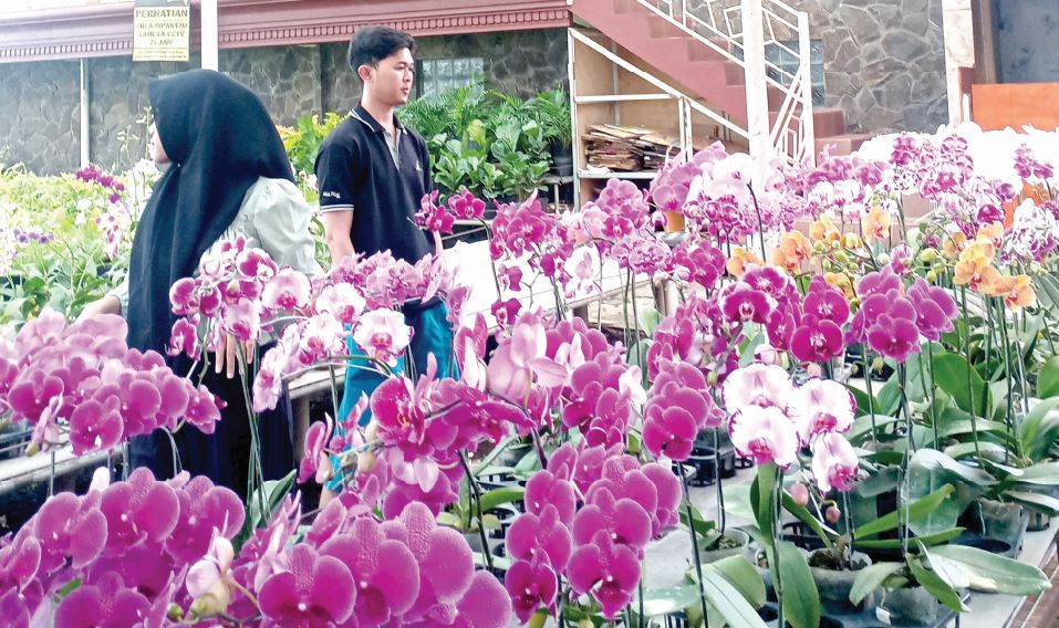 CANTIK: Beberapa pengunjung melihat-lihat aneka jenis anggrek di Toko Bunga, Desa Sidomulyo, Kecamatan Batu kemarin (31/7).