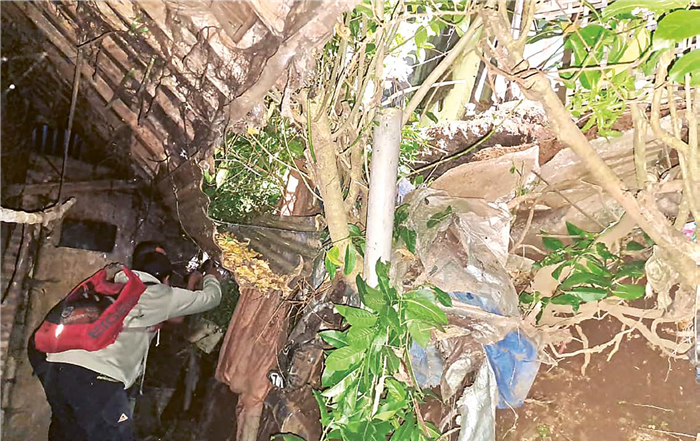 AMBROL: Plengsengan nonteknis di Desa Sumberbrantas, Kecamatan Bumiaji longsor pada Senin malam lalu (8/9).