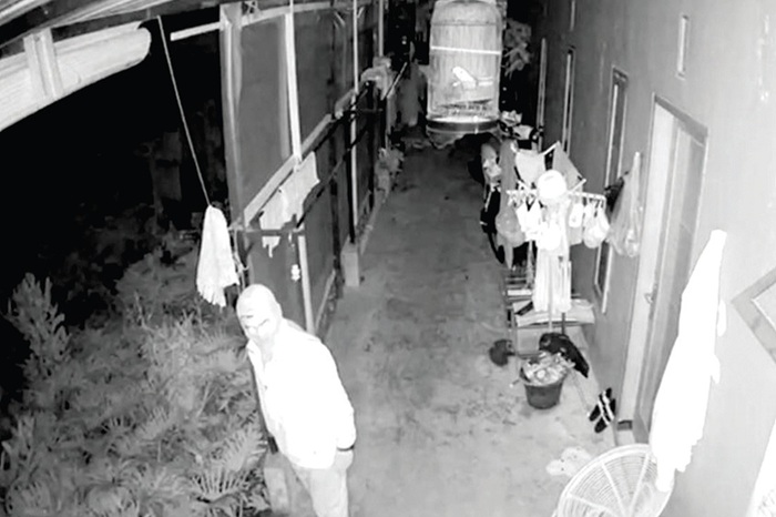 TEREKAM CCTV: Pencuri burung di Dusun Buludendeng, Desa Bulukerto, Kecamatan Bumiaji melancarkan aksinya dini hari kemarin (18/9).