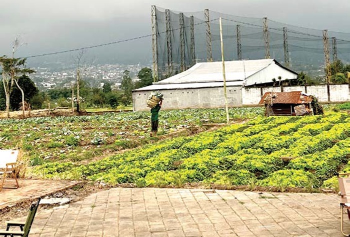BAKAL DILENGKAPI LABORATORIUM: Petani di Desa Pesanggrahan, Kecamatan Batu mengangkat hasil panen beberapa waktu lalu.
