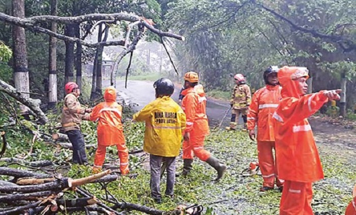 DIEVAKUASI: Pohon tumbang di Jalan Brigadir Jenderal Moh. Manan, Desa Songgokerto, Kecamatan Batu dibersihkan tim BPBD, PUPR, dan Damkar kemarin (22/10).