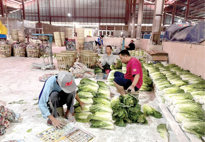 PERSIAPAN DIKIRIM: Pedagang di dalam Pasar Sayur Kota Batu membubuhkan bubuk magnesium untuk menjaga kesegarannya beberapa hari lalu.