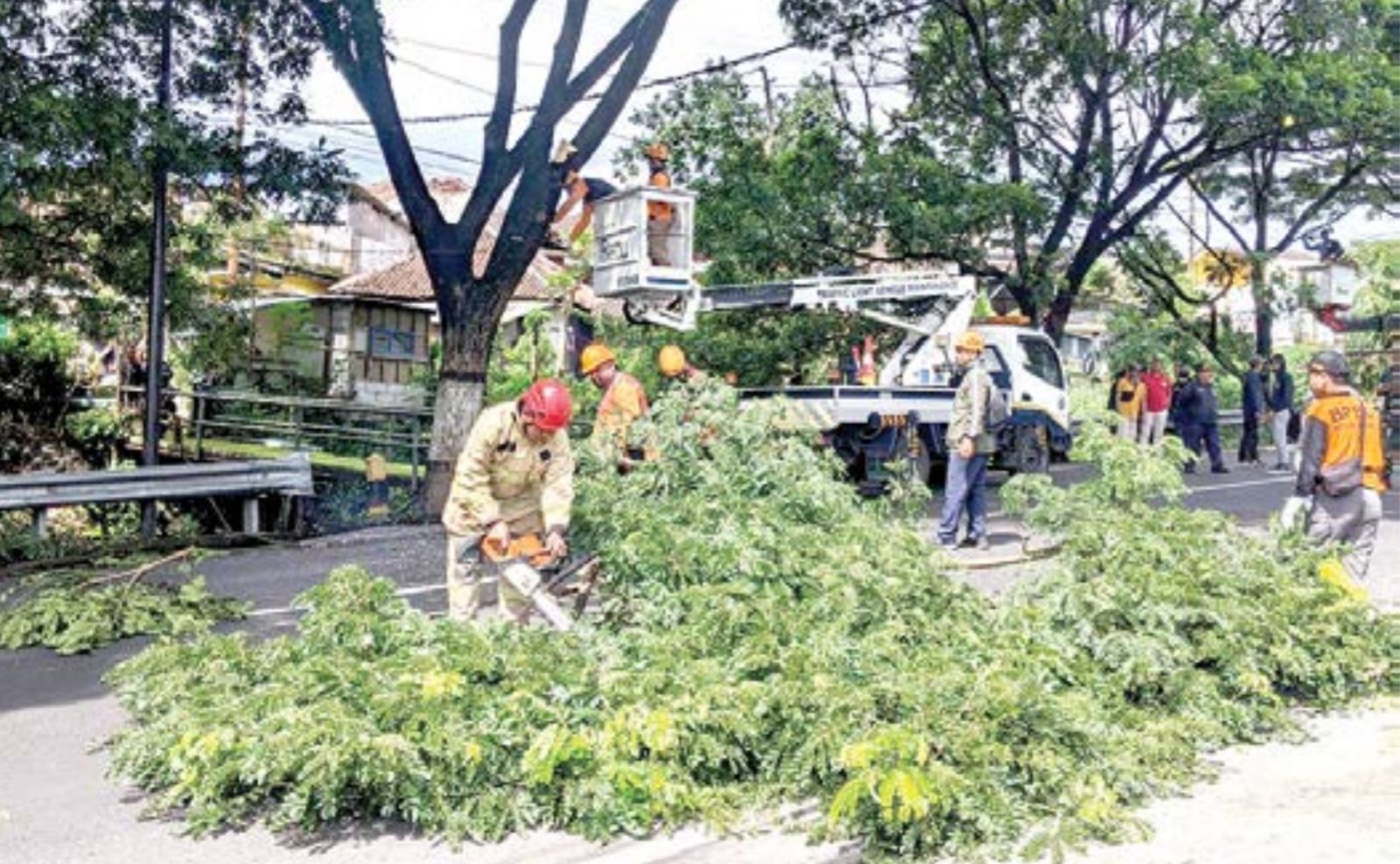 PROSES EVAKUASI: Rumpun bambu dibersihkan setelah longsor dan robohnya rumpun bambu di Kelurahan Sisir, Kecamatan Batu beberapa waktu lalu.&nbsp;