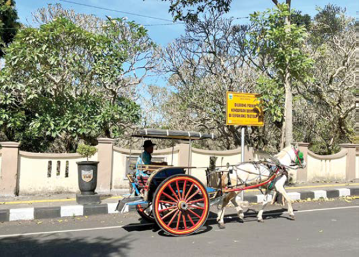 BEROPERASI: Dokar wisata Alun-Alun Kota Batu melintas di kawasan Kelurahan Sisir, Kecamatan Batu beberapa waktu lalu.