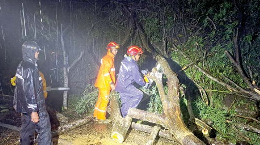 Tim gabungan melakukan pembersihan pohon tumbang yang menutup badan jalan di Jalan Trunojoyo (Payung 1), Kelurahan Songgokerto, Kecamatan Batu, Kota Batu, kemarin (11/12) malam. 