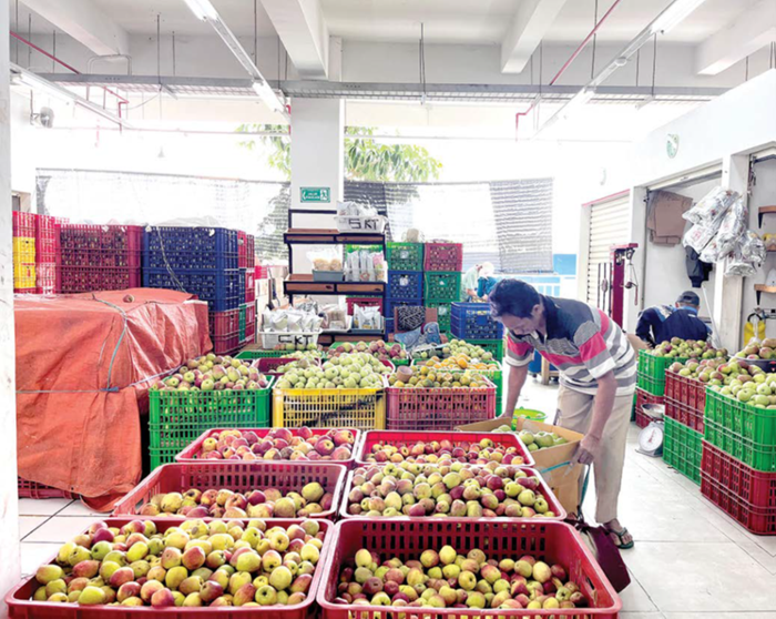 SEGAR: Stok buah apel melimpah dan tertata rapi di kawasan Zona Apel Pasar Induk Among Tani Kota Batu beberapa waktu lalu.