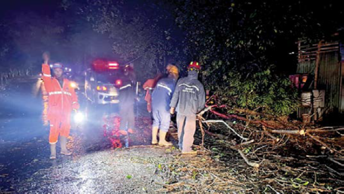 TUMBANG: Tim BPBD Kota Batu melakukan proses evakuasi pohon tumbang di Kelurahan Songgokerto, Kecamatan Batu pada Selasa malam lalu (13/1).