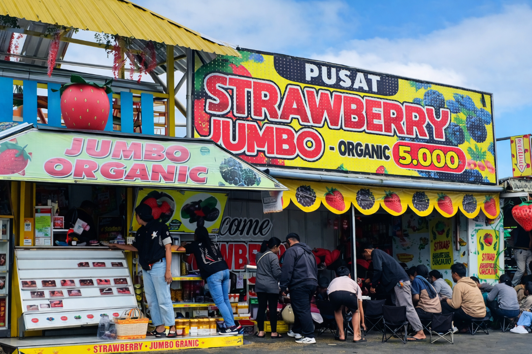 STRAWBERRY SEGAR: Kay Pusat Strawberry Kota Batu menyediakan testimoni buah gratis di tempat. (Instagram: kay.strawberry_)