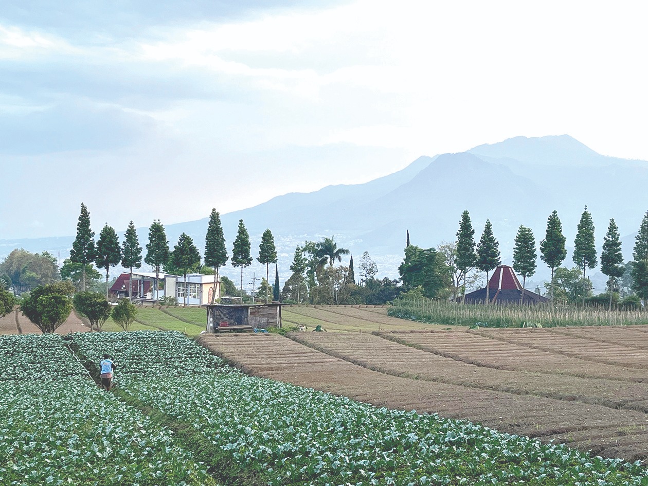 DISASAR PERINGATAN: Sektor pertanian di Kota Batu mendapat peringatan dini dalam menghadapi cuaca ekstrem yang terjadi beberapa waktu terakhir.