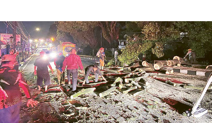 DIEVAKUASI: Proses evakuasi pohon trambesi setinggi 15 meter dengan diameter satu meter yang tumbang hingga menutup Jalan Patimura kemarin (25/2) pada pukul 03.45 WIB dilakukan oleh tim gabungan.   