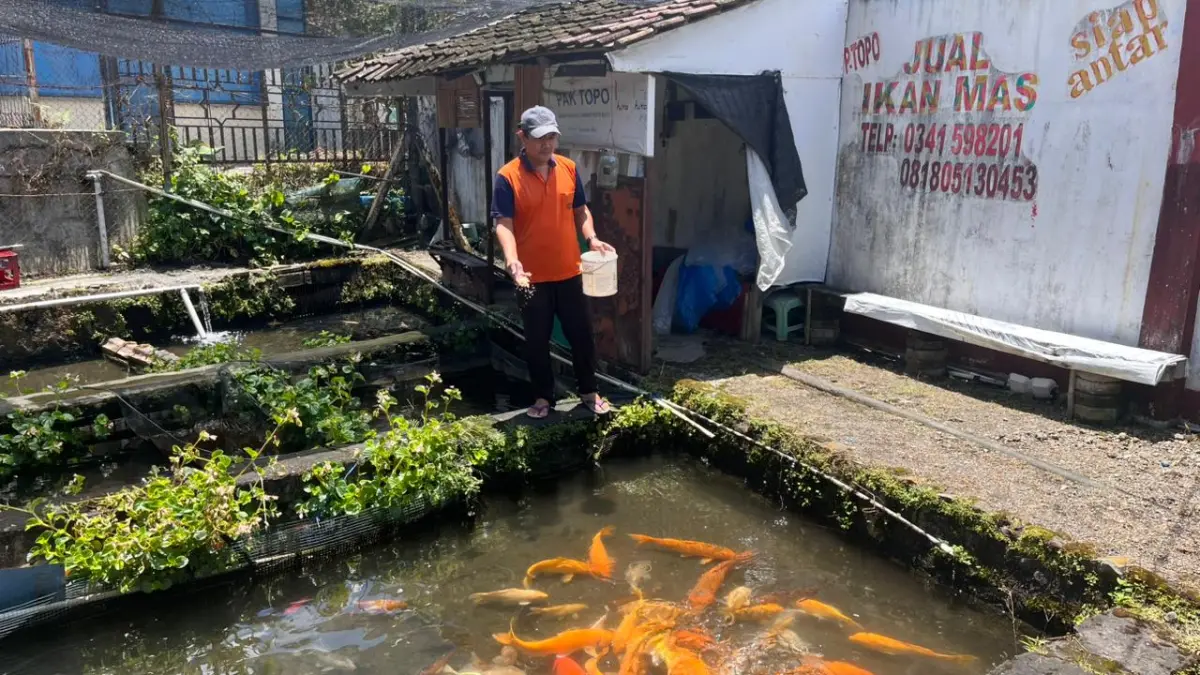 CANTIK: Potensi dan koleksi sektor perikanan di Pasar Ikan Desa Sidomulyo, Kecamatan Batu beberapa waktu lalu. ZANADIA MANIK FATIMAH/RADAR BATU