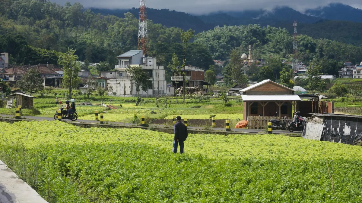ALIH FUNGSI LAHAN: Hamparan sawah yang mulai berkurang. RORI DINANDA BESTARI/RADAR BATU
