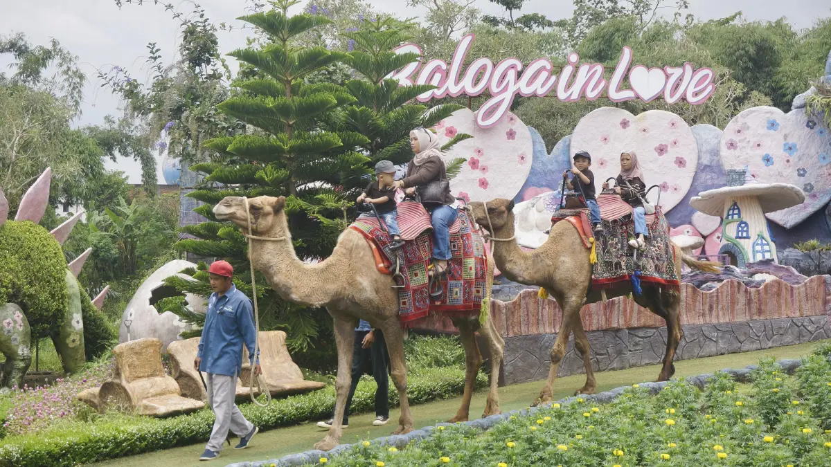 JUJUGAN WISATAWAN: Beberapa wisatawan menaiki wahana unta di Batu Love Garden saat libur Lebaran beberapa waktu lalu. RORI DINANDA BESTARI/RADAR BATU