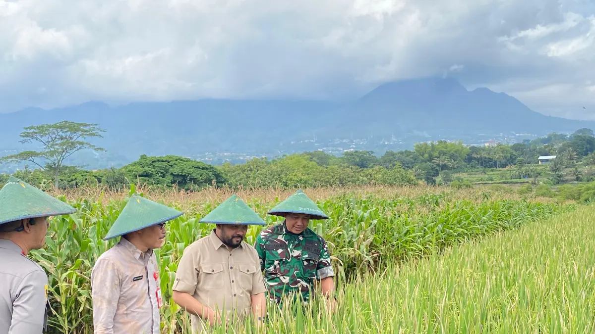 ALIH FUNGSI LAHAN: Wakil Walikota Batu mengecek kondisi padi di sawah Kota Batu. RORI DINANDA BESTARI
