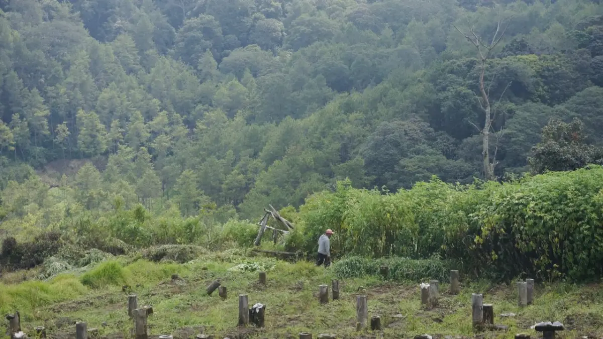 KIAN TERKIKIS: Lahan pertanian di Kota Batu kian terkikis. RORI DINANDA BESTARI/RADAR BATU