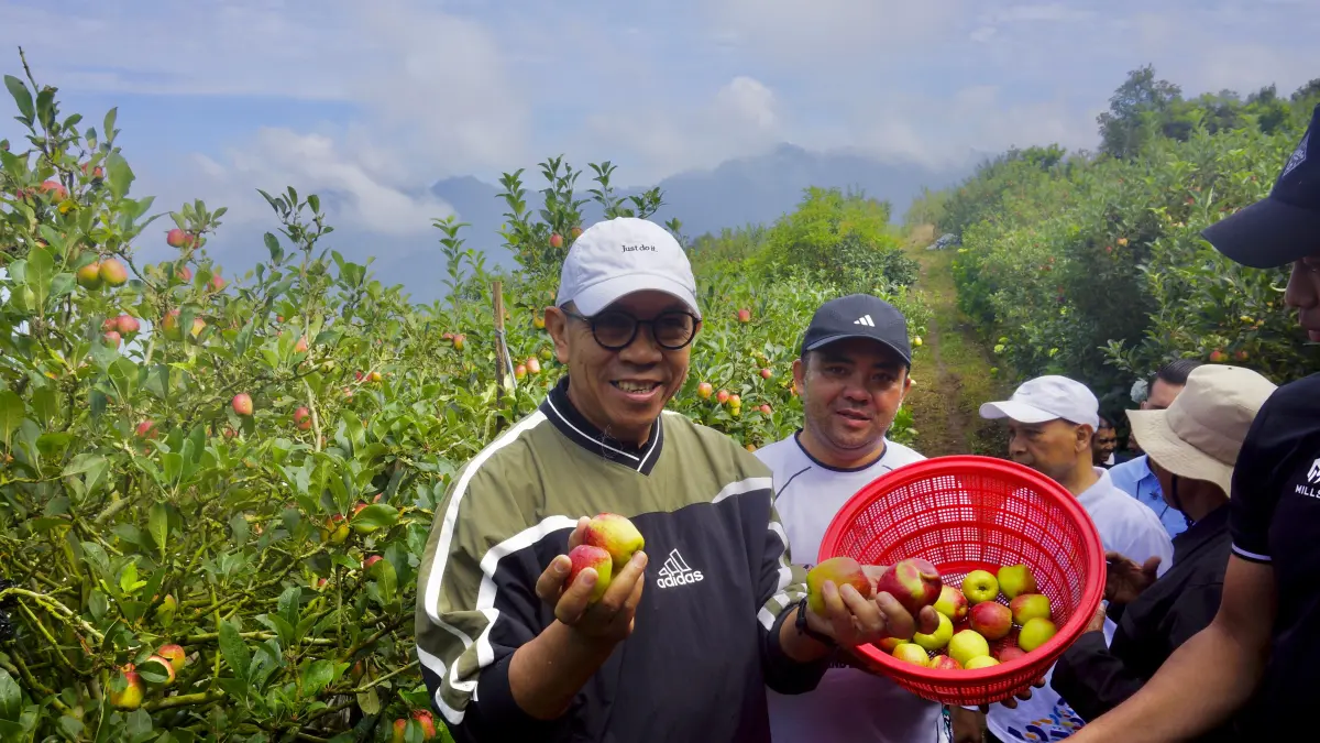 Wali Kota Batu Nurochman (kiri) dan Wakil Wali Kota Batu Heli Suyanto memetik apel di perkebunan Junggo, Kamis (9/4). (Rori Dinanda Bestari/Radar Batu)