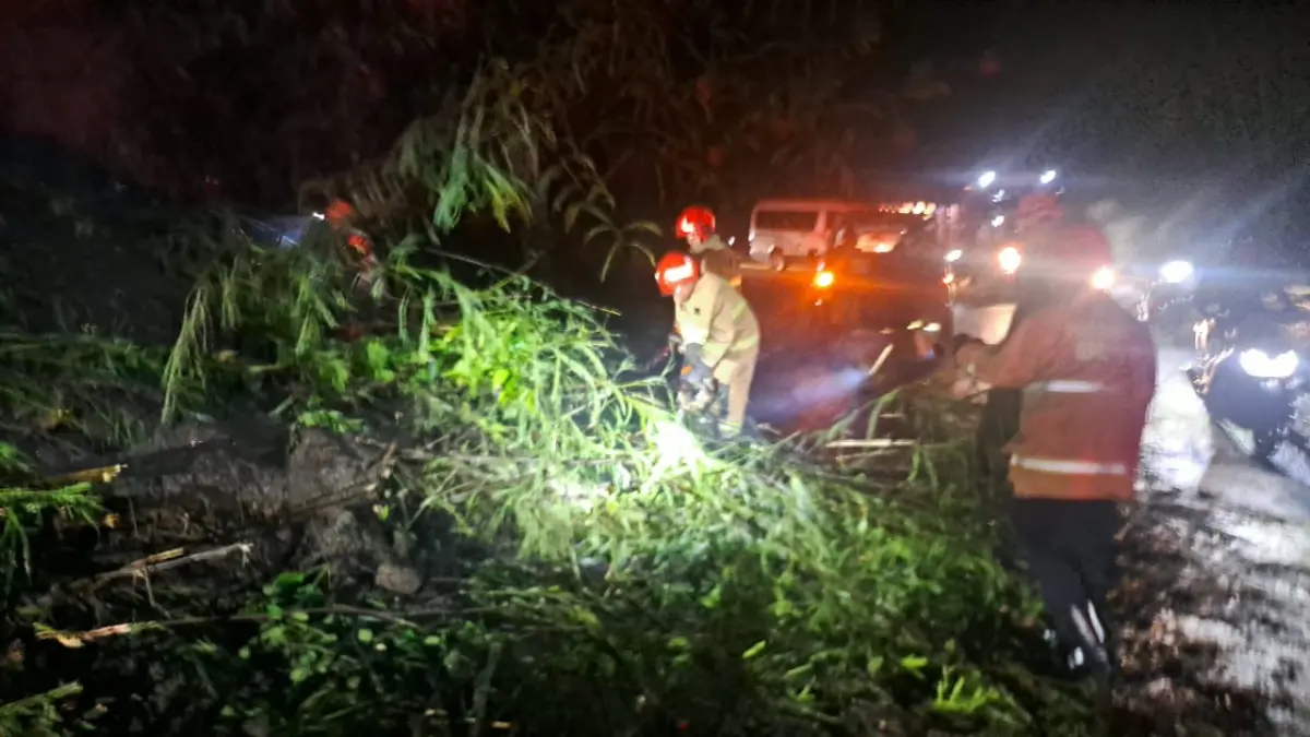 Personel BPBD membersihkan material sisa longsor di Jalur Payung, Kamis (9/4) malam. (BPBD Kota Batu)