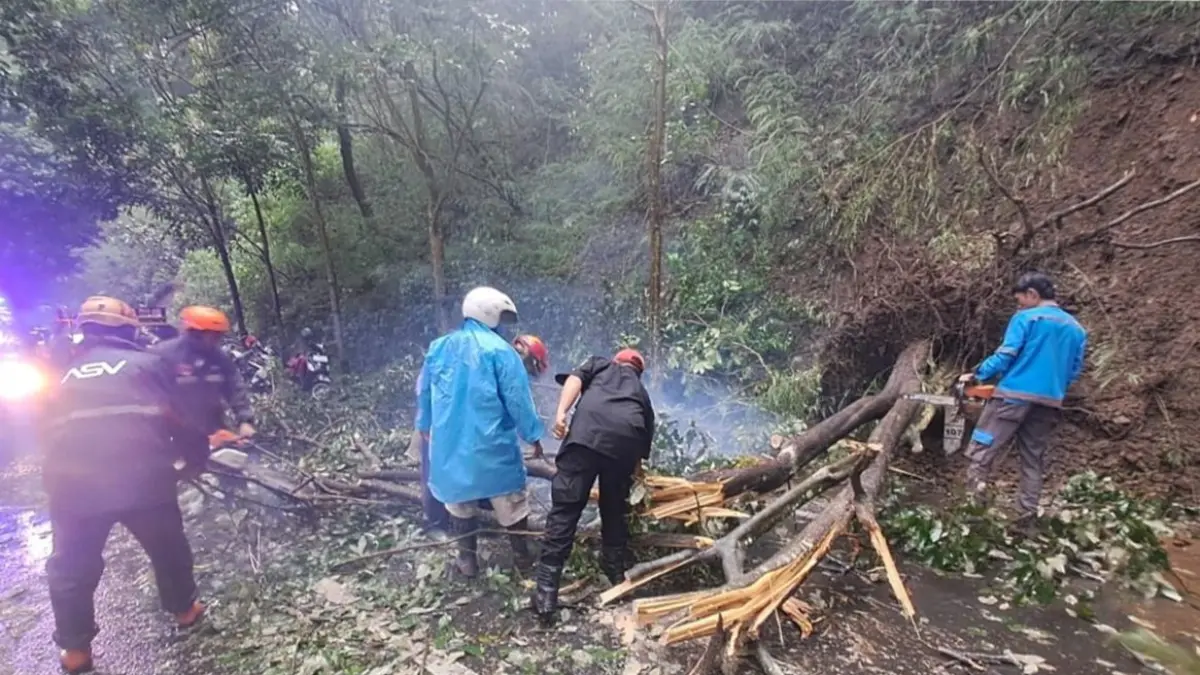 Personel BPBD membersihkan sisa bencana yang terjadi dalam sehari
