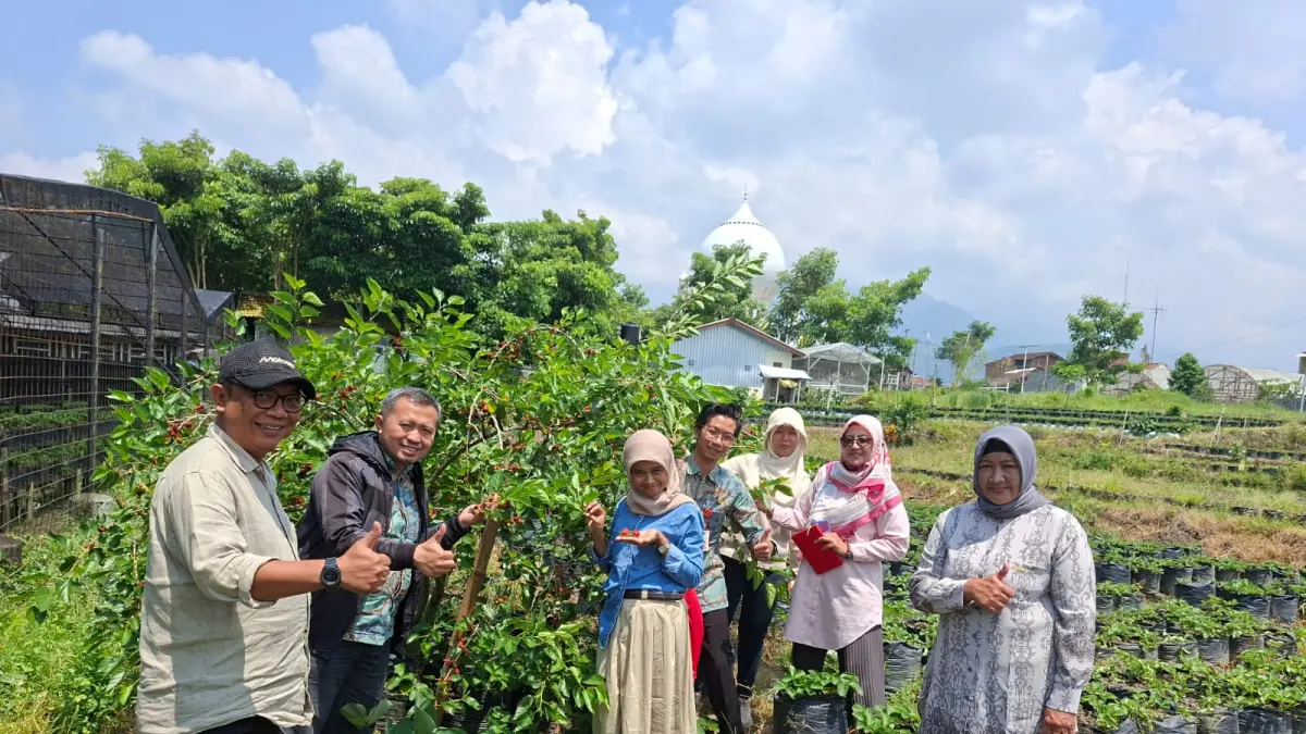 BRIN Lirik Murbei Pandanrejo Kota Batu, Potensi Herbal Anti Aging Mulai Diteliti.