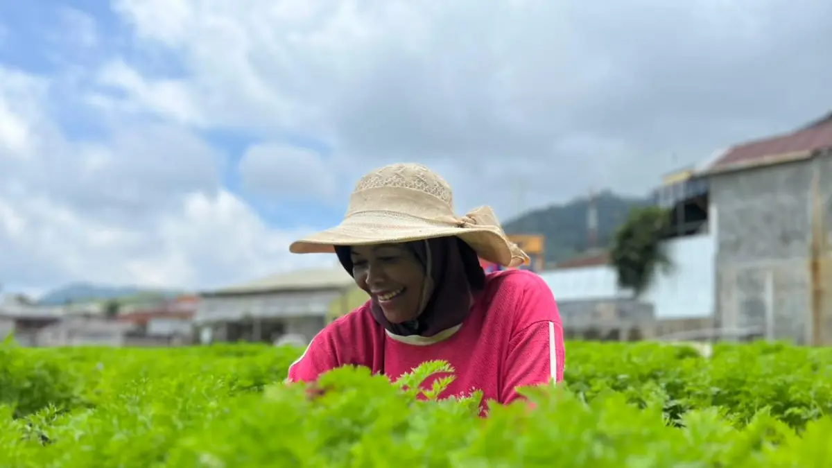 KIAN BERKURANG: Salah seorang pekerja di sektor pertanian tengah membersihkan rumput di lahan pertanian Desa Sumberbrantas, Kecamatan Bumiaji beberapa waktu lalu. ZANADIA MANIK FATIMAH/RADAR BATU
