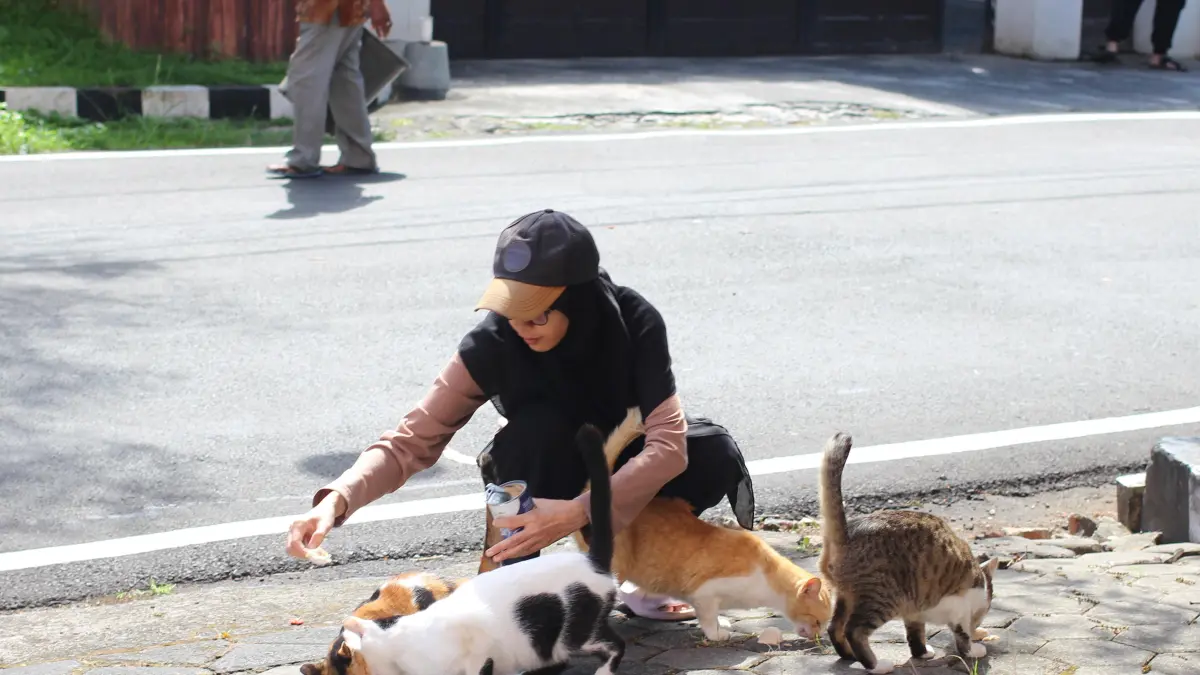 POPULASI MENINGKAT: Salah seorang warga memberi makan kucing beberapa hari lalu. RAYYAN SUGANGGA/FREELANCE RADAR MALANG