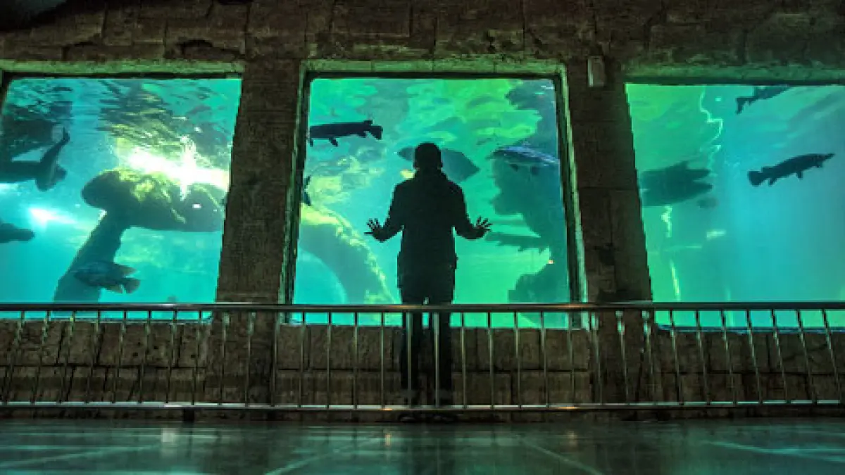 ZONA AQUARIUM JATIM PARK 3