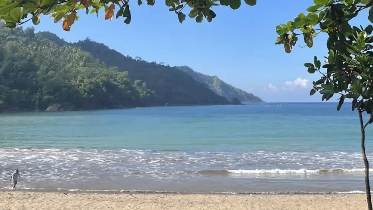 Panorama Pantai Wediawu. (Google Maps: Pertiwi)