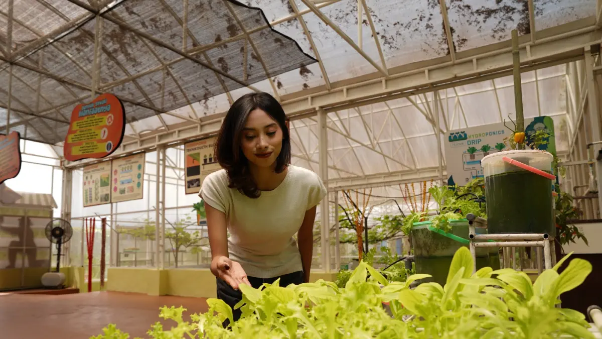 AGRIKULTUR: Salah seorang wisatawan mengamati hasil pertanian modern lewat konsep hidroponik di Batu Love Garden (Baloga) beberapa hari lalu.