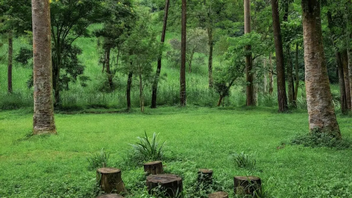 Pemandangan hijau di Taman Merak Pujon. (Google Maps: Saruma)