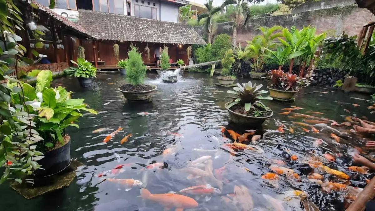 Suasana di Waroeng Bamboe Lesehan Sidomulyo. (Google Maps: Meta Ayu Kurniawati)
