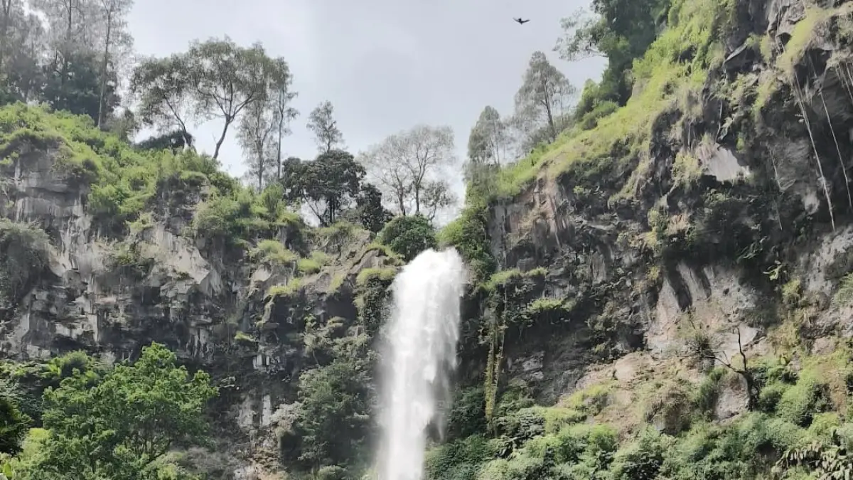 SUASANA ALAM: Air Terjun Coban Rondo. (Google Maps: Hamizul Fuad)