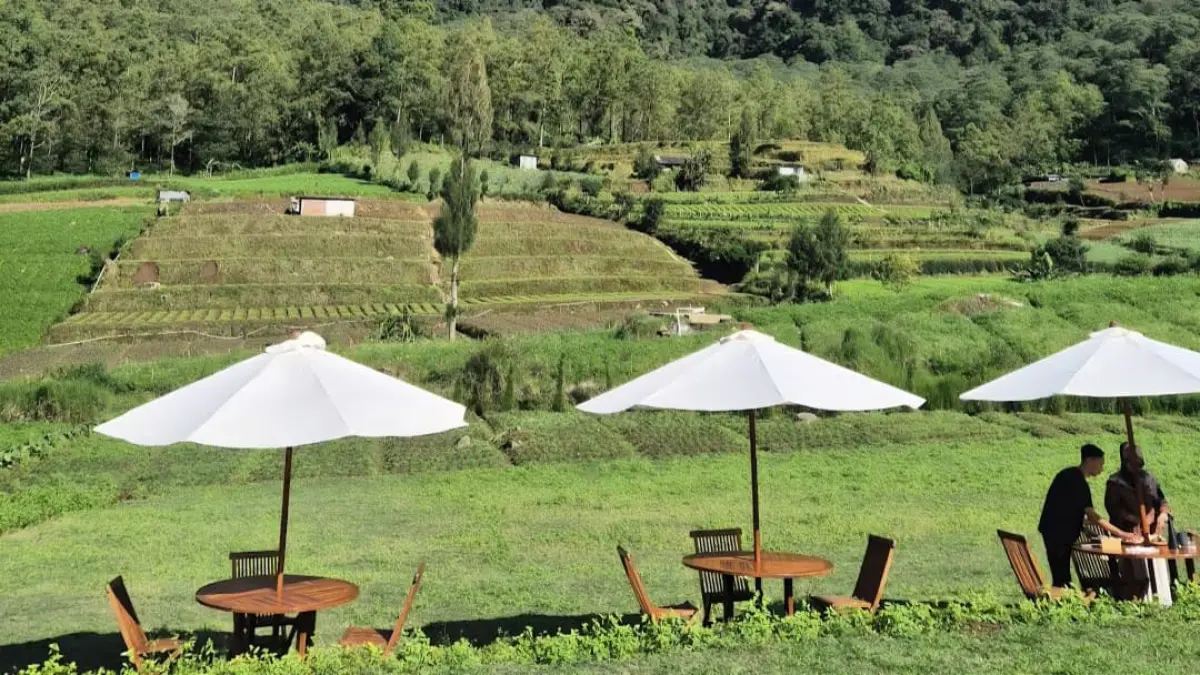 Hamparan rerumputan Arjuna Hill Rooms and Glamping. (Google Maps: Arjuna Hill Glamping)