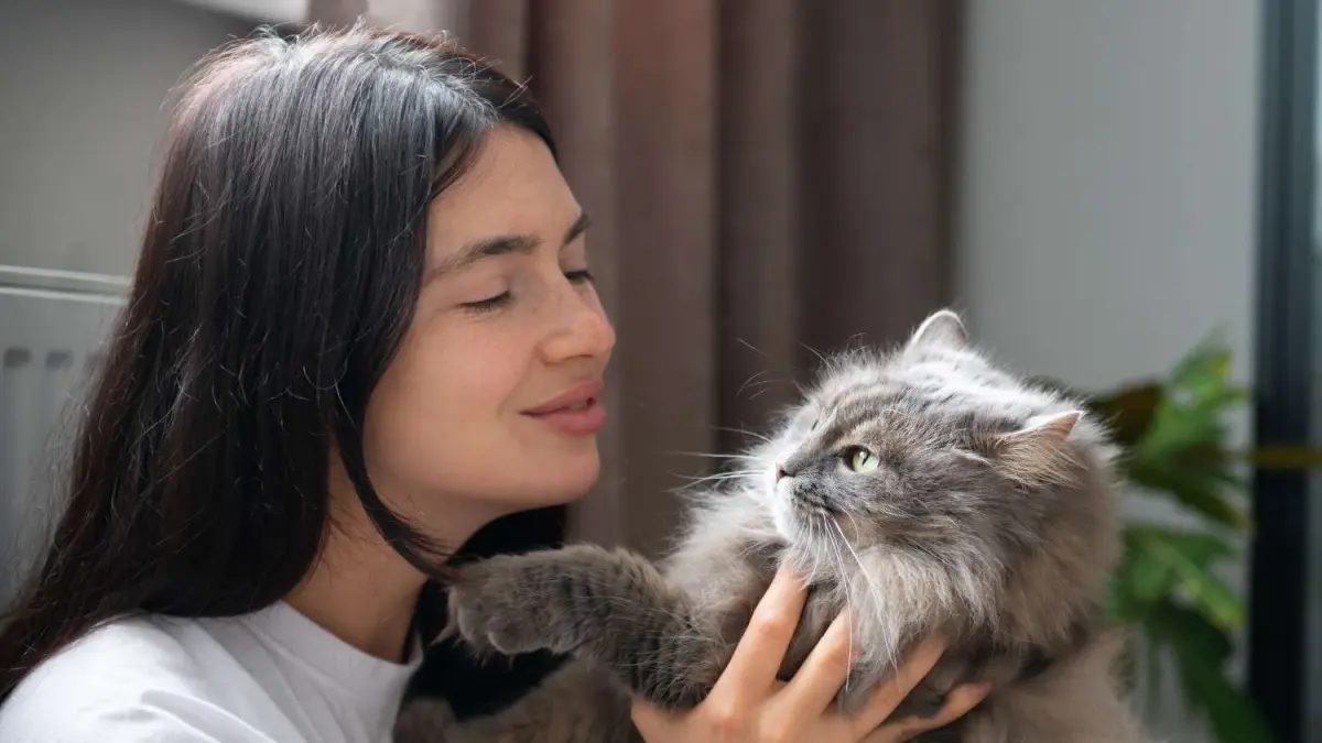 Kucing kesayangan (sumber foto:  magnific)