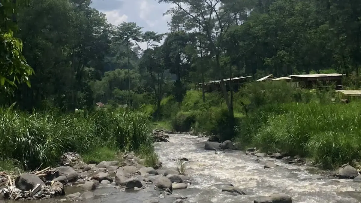 Suasana sungai di Taman Merak Pujon. (Google Maps: Yunitaa)