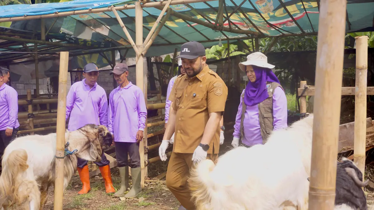 PASTIKAN KESEHATAN: Plt Wali Kota Batu Heli Suyanto meninjau langsung kondisi hewan kurban di lapak pedagang di Jalan Sultan Agung, Kecamatan Batu, Selasa (19/5). Pemeriksaan ketat diberlakukan guna membentengi wilayah dari serbuan penyakit ternak menular.