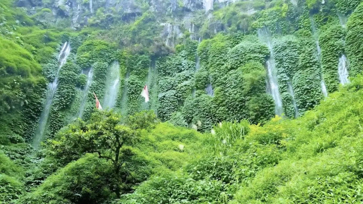 Pemandangan Air Terjun Sumber Pitu. (Google Maps: Gusti Dina Mayrinda)