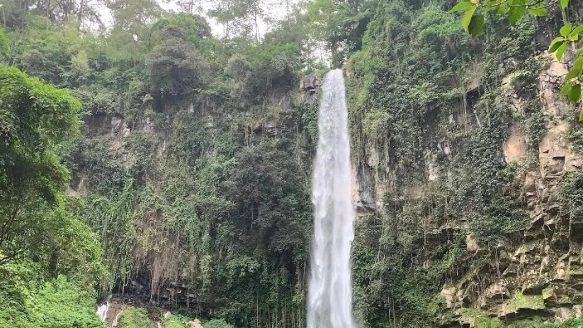 Air Terjun Grojogan Sewu Pujon. (Google Maps: Umi Rofiah)